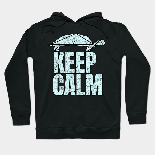 Keep Calm Funny Cool Turtle No Stress Office Focused Gift Hoodie by peter2art